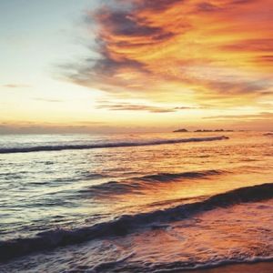 Meet your Posher, Antonio crespo